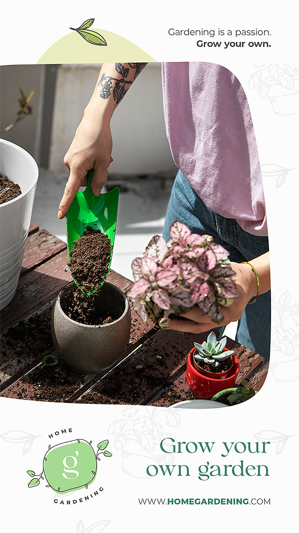 多肉种植人与自然宣传海报