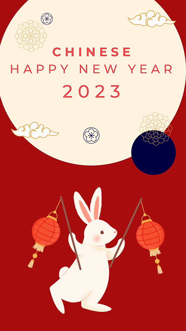 2023新年简约兔子插画海报