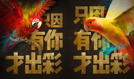 炫彩鹦鹉创意招聘海报