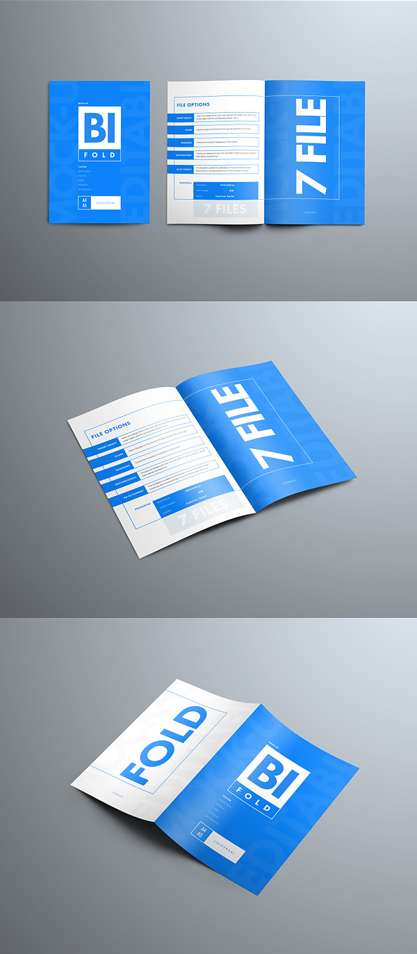 七视角多角度双折页册子样机模板